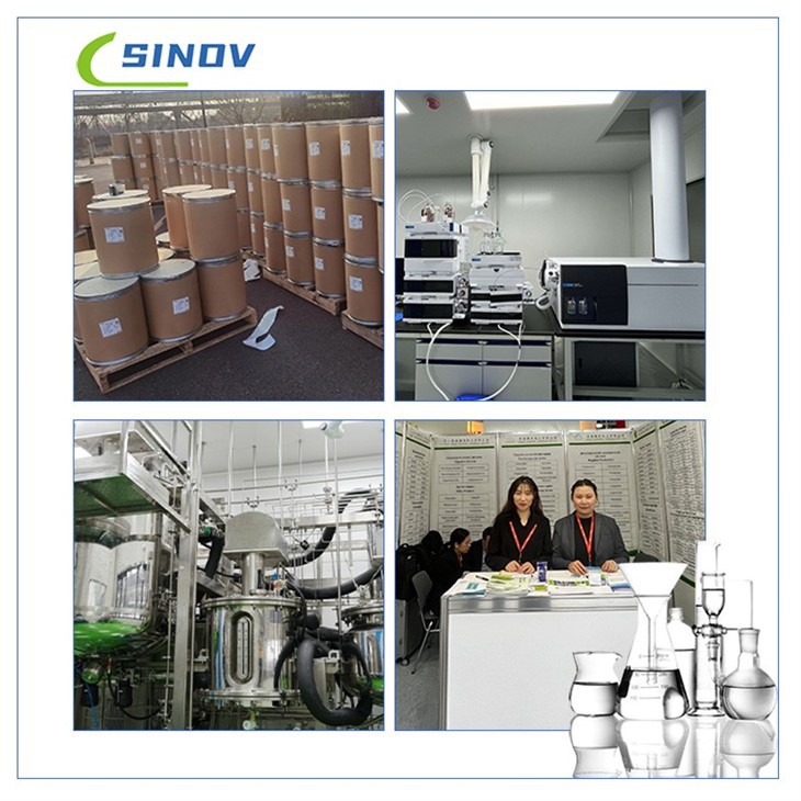 Andrographis Paniculata Extract high quality