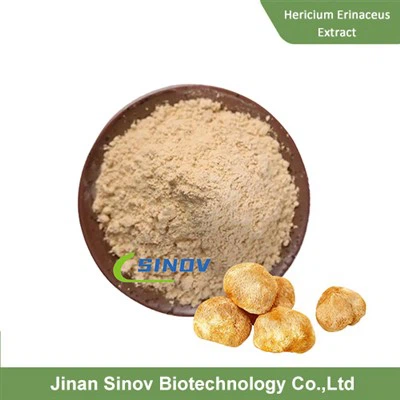 Orgaaninen heriali erinaceus -uutte jauhe